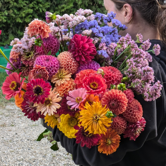 Bulk Flowers