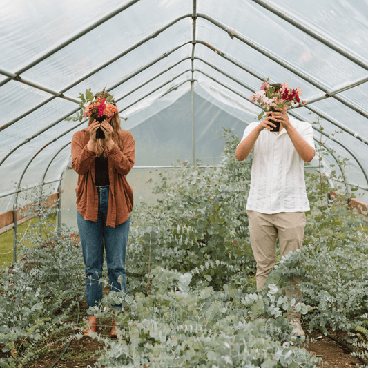 An Evening in the Flower Field