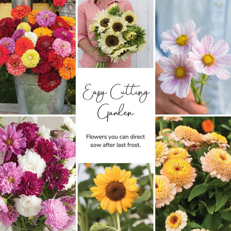 Easy Cutting Garden Seed Bundle