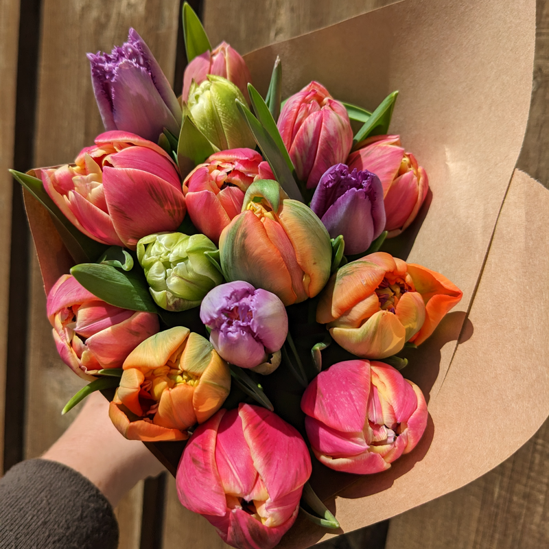 Twice-Monthly Tulip Subscription (Feb to Apr)