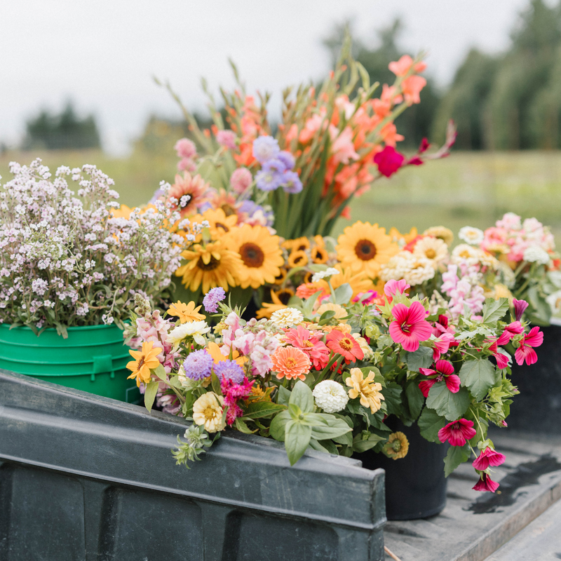 Bulk Flowers