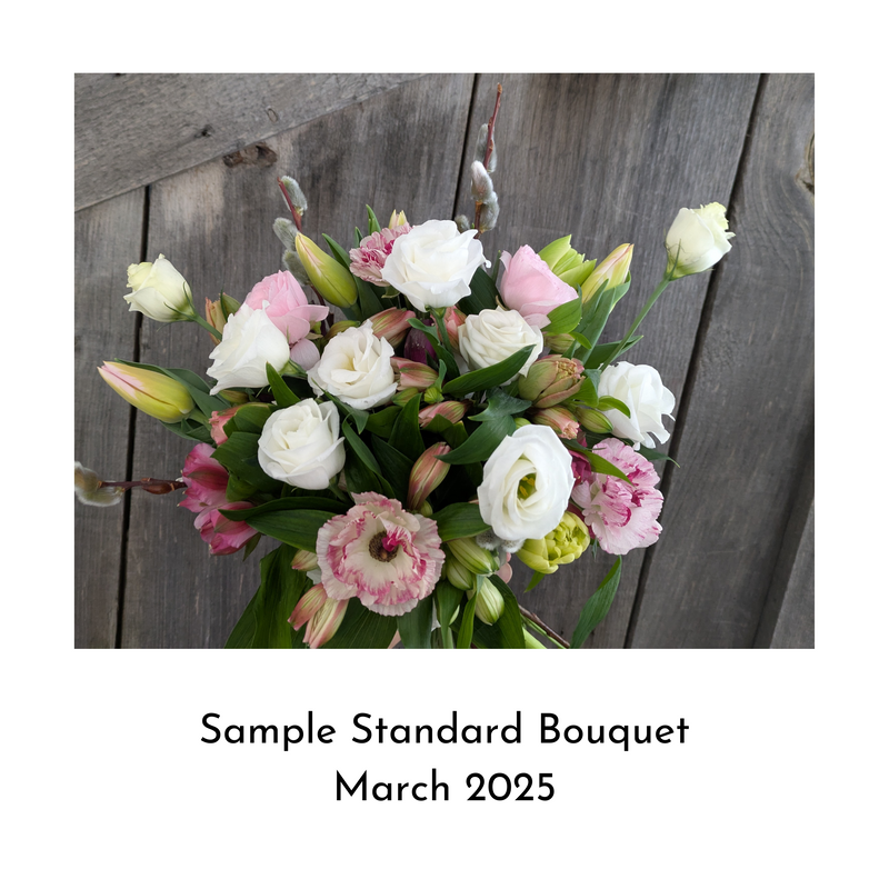 Signature Hand-Tied Bouquet
