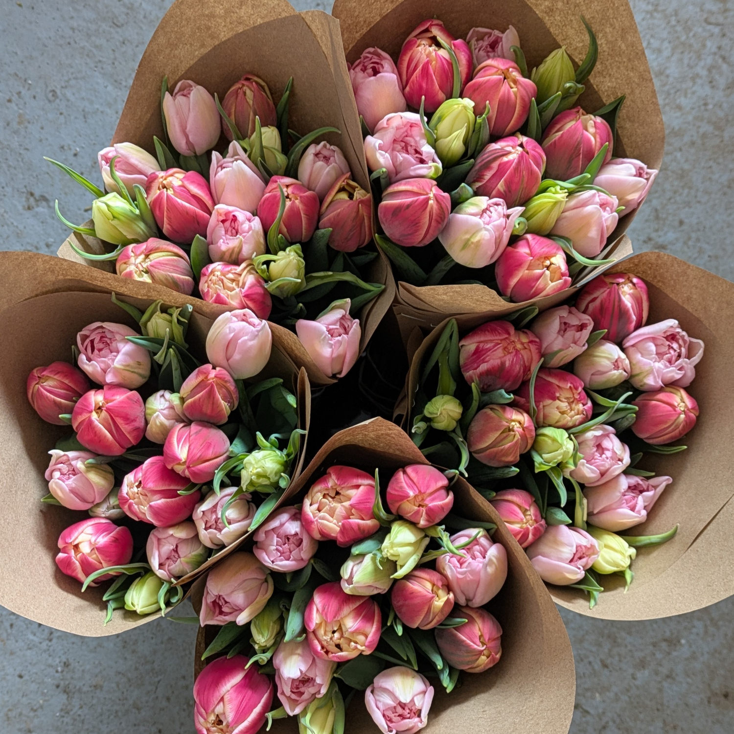 Twice-Monthly Tulip Subscription (Feb to Apr)