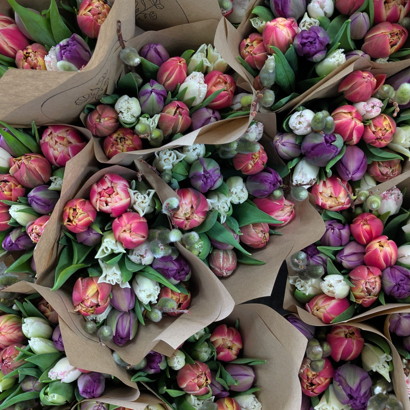 Twice-Monthly Tulip Subscription (Feb to Apr)