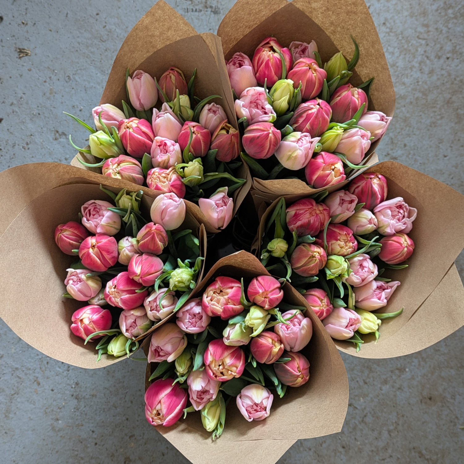 Valentine's Farm-Grown Tulip Bunch