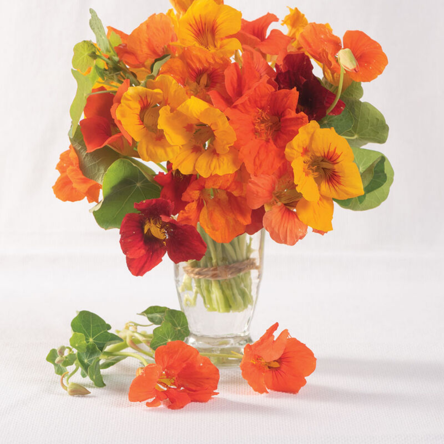 Nasturtium - Kaleidoscope Mix Seeds