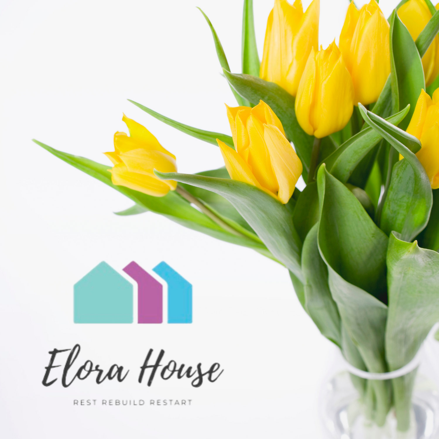 Send Tulips to Elora House
