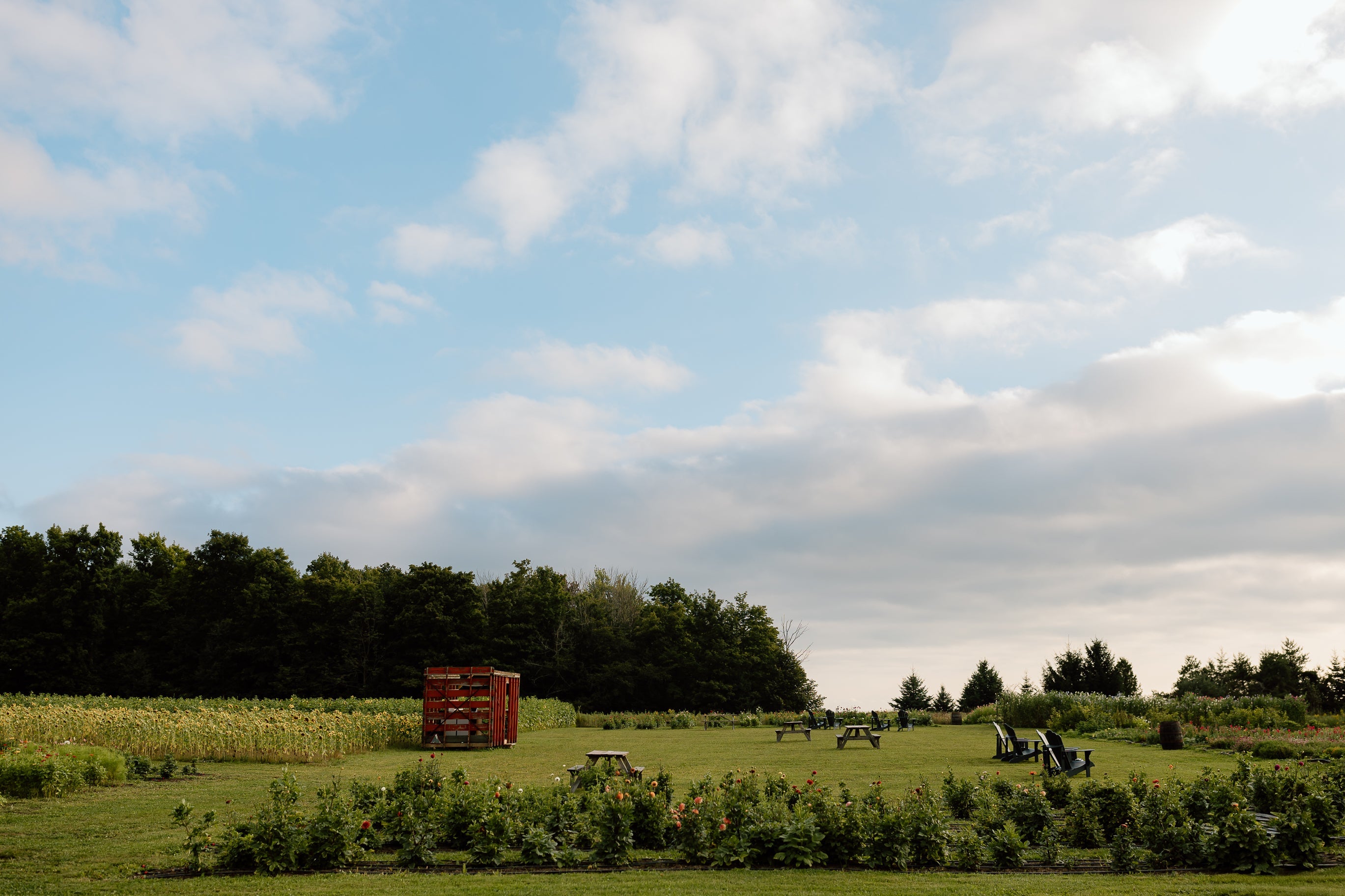 Our Candle Collection – Mapleton Acres