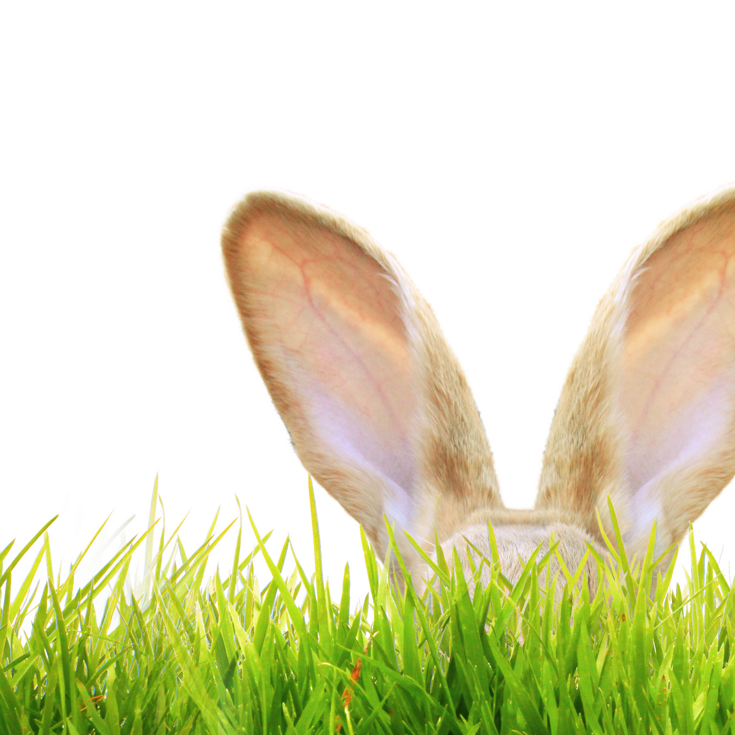 Easter