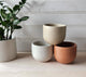 Modern Planter- 5"