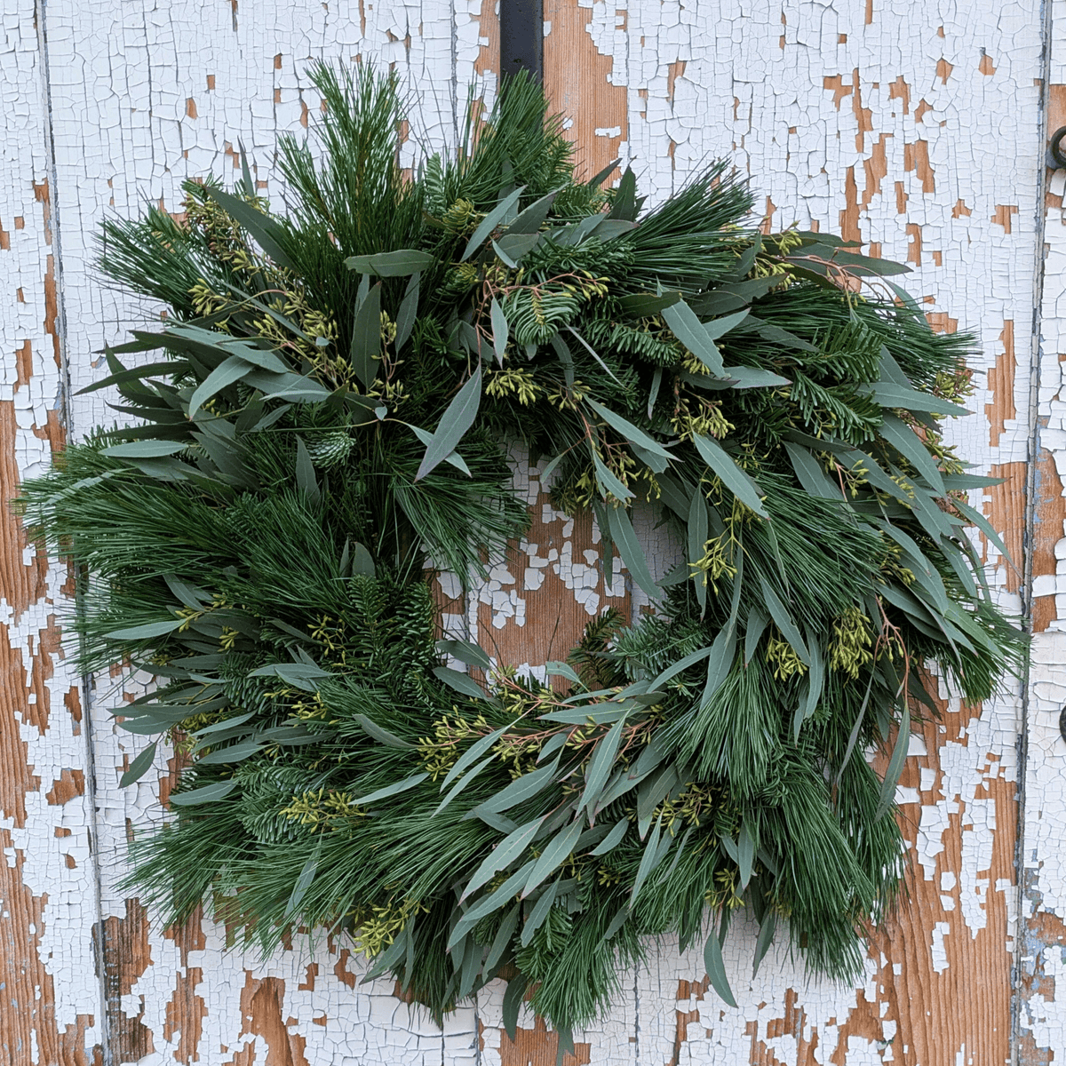 Fresh Evergreen + Eucalyptus Wreath (Pre-Made)