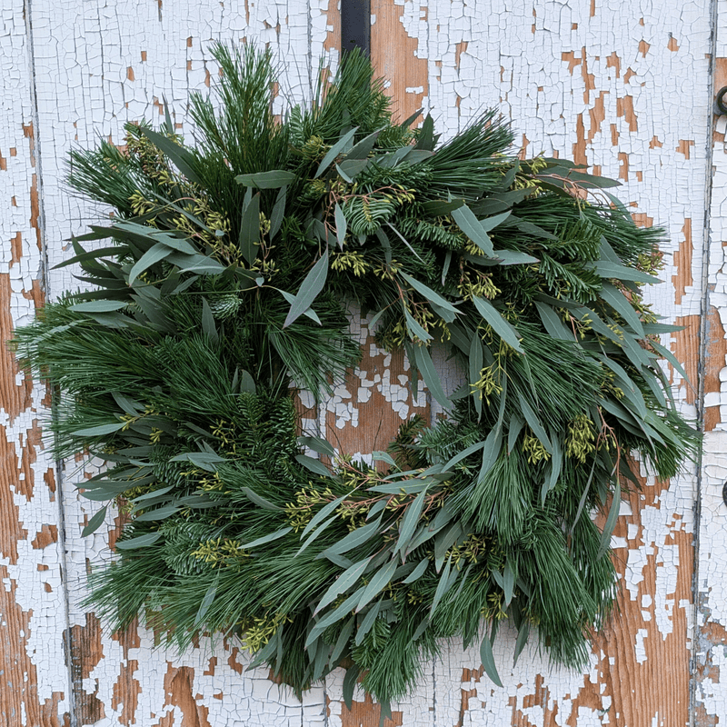 Fresh Evergreen + Eucalyptus Wreath (Pre-Made)