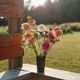 Golden Hour U-Pick (Sept 3 + 19)