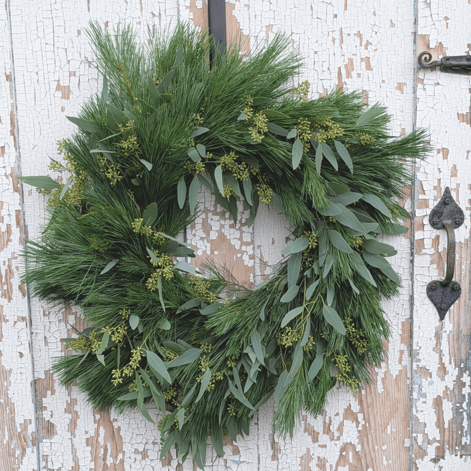 Fresh Evergreen + Eucalyptus Wreath (Pre-Made)