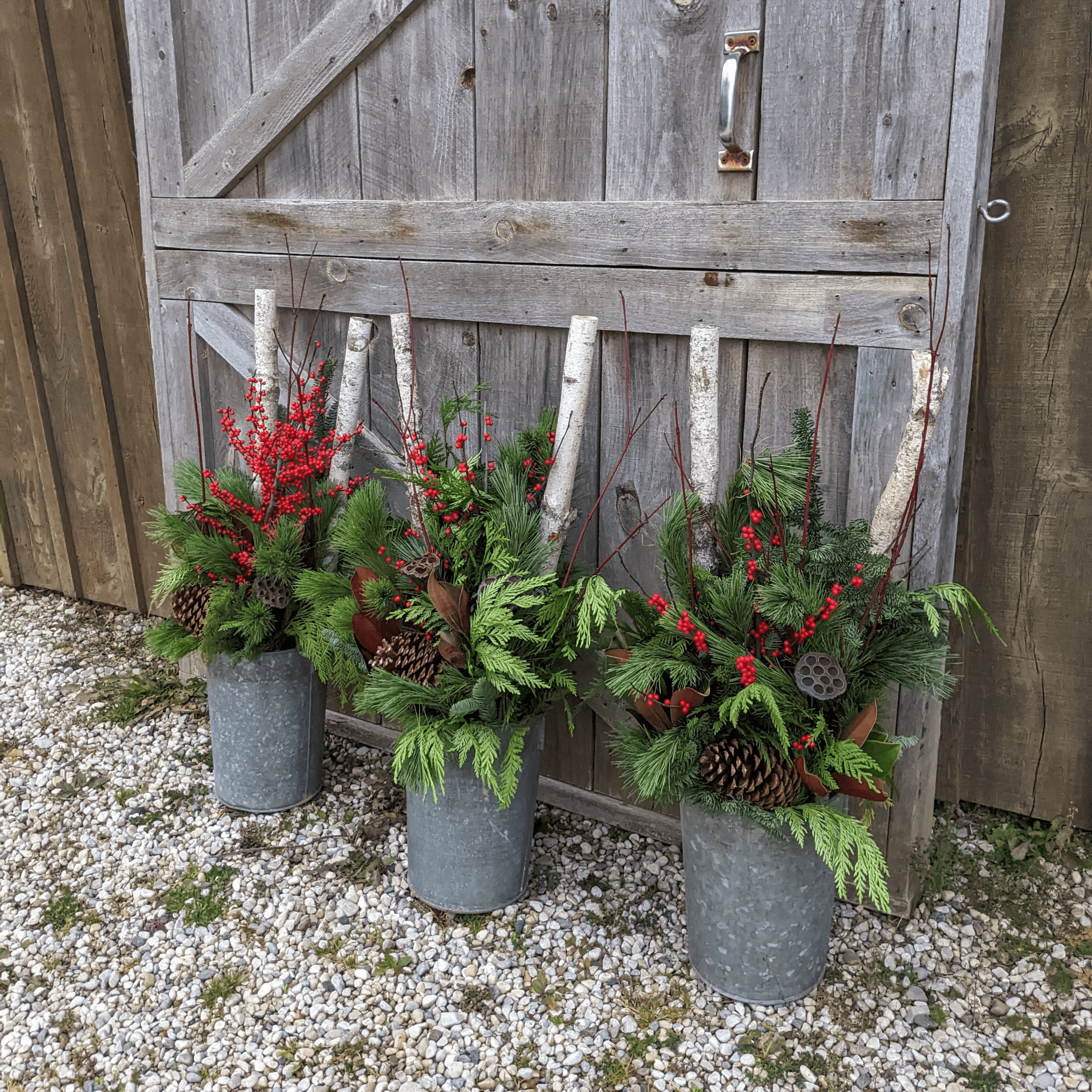 Three Winter Planters designed in a vintage metal sap bucket filled with a mix of greenery, fresh red berries, pine cones, magnolia leaves, red dog wood and birch sticks sitting in front of a wooden barn door.