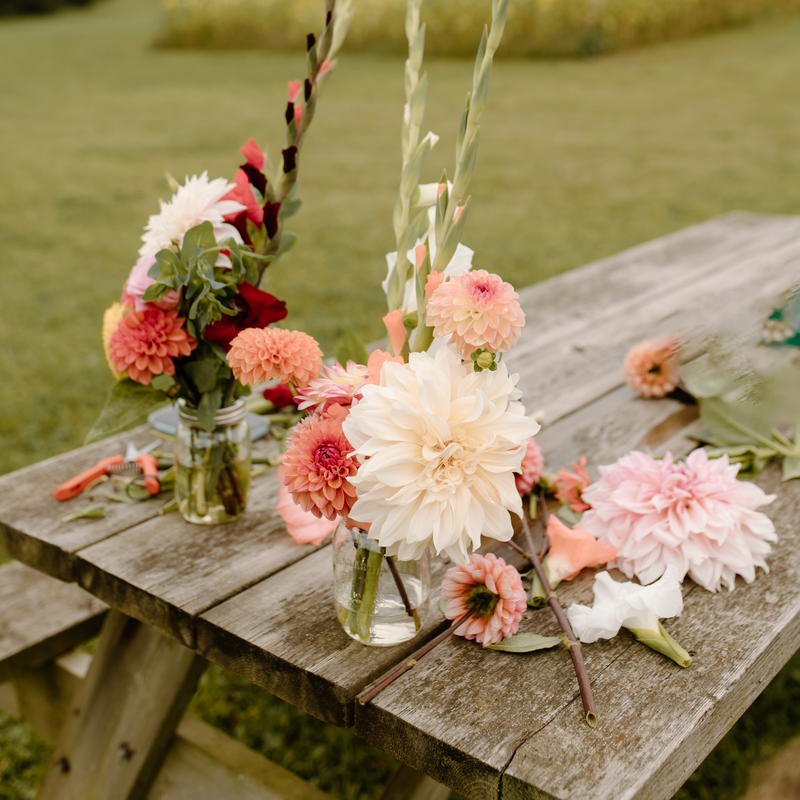 Adult & Little Experience