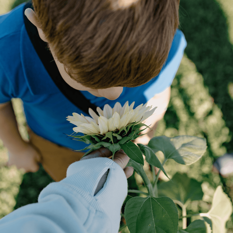 Adult & Little Experience