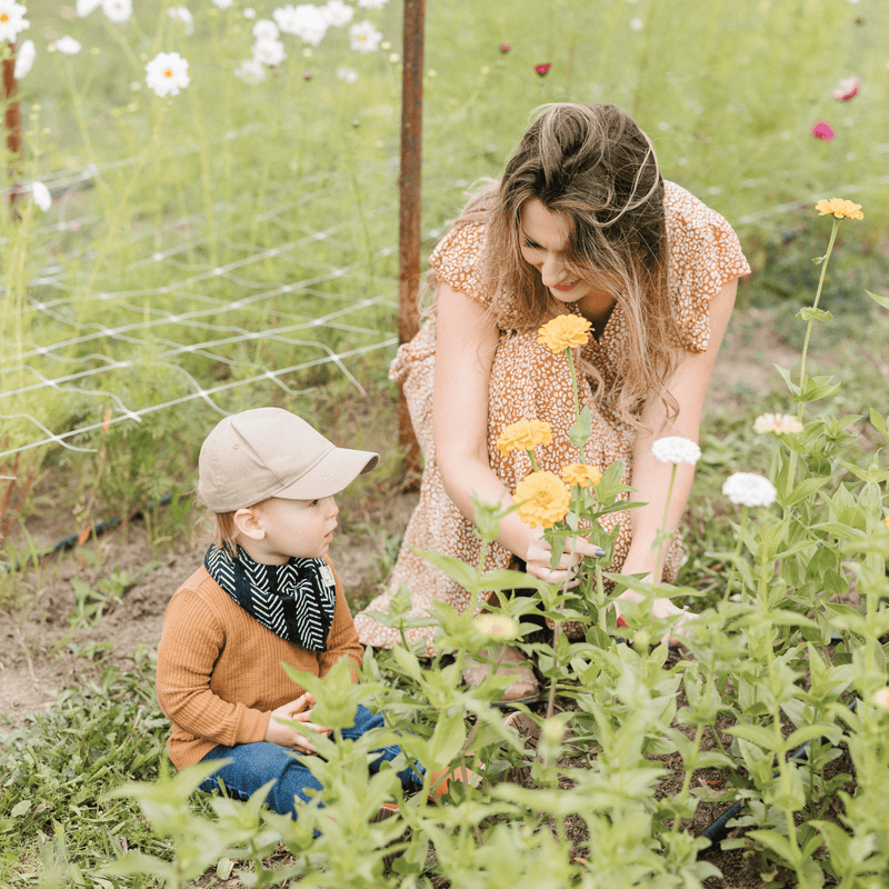 Adult & Little Experience