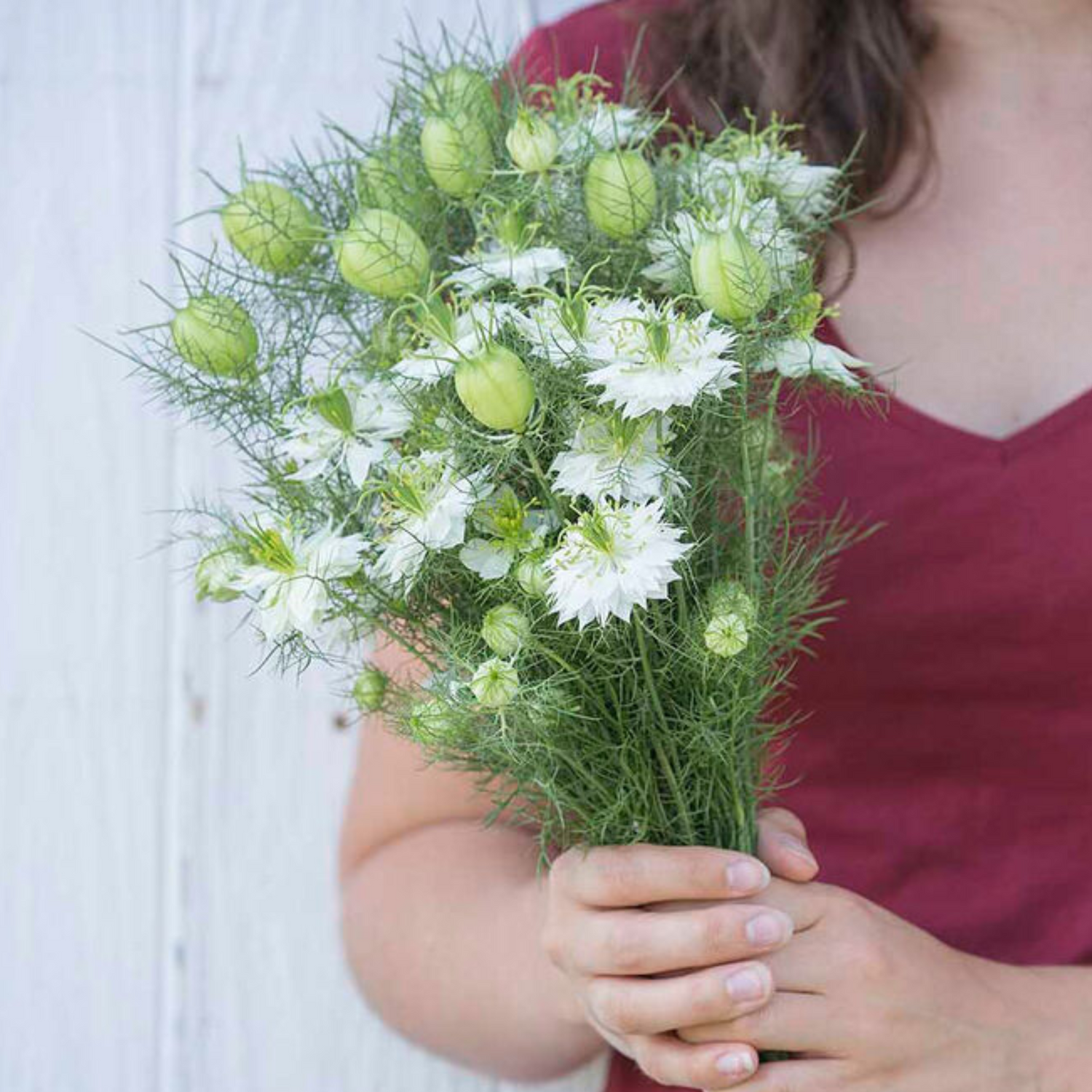 Albion Green Pod Nigella Seeds