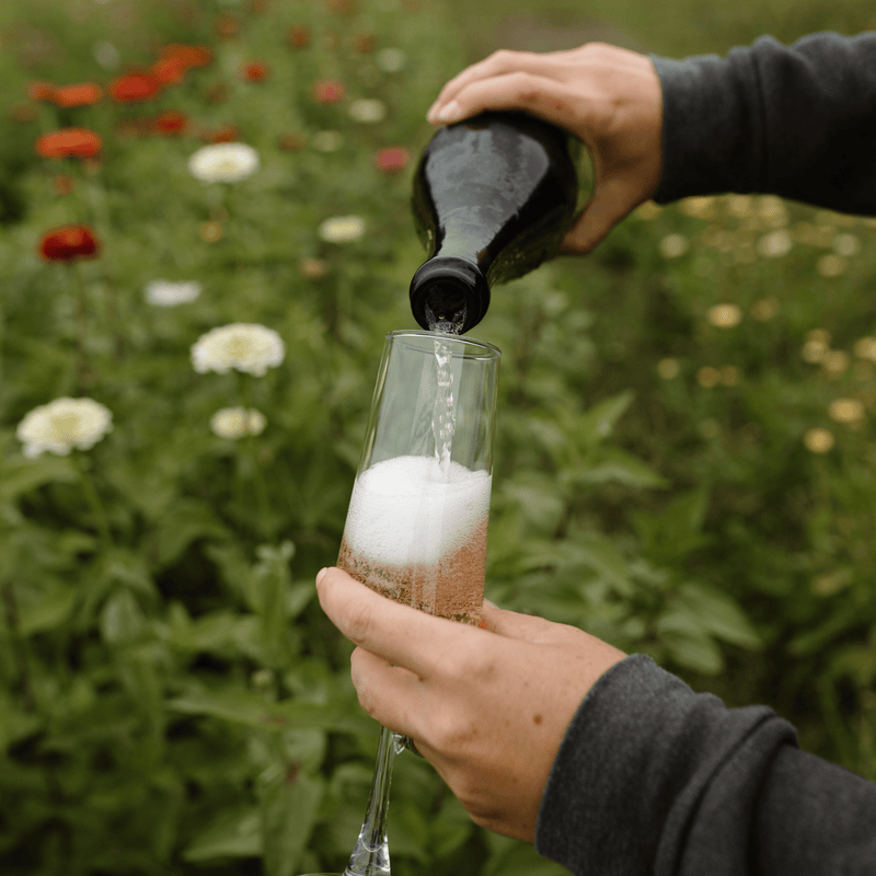 An Evening in the Flower Field
