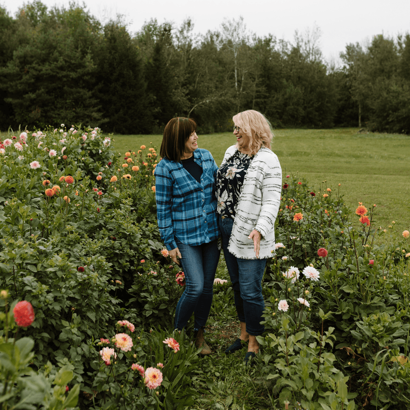 An Evening in the Flower Field