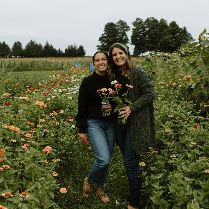 An Evening in the Flower Field