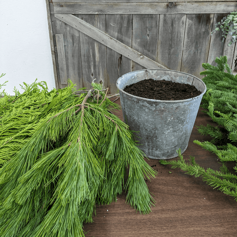 Winter Planter Workshops (Nov 13 & 16)