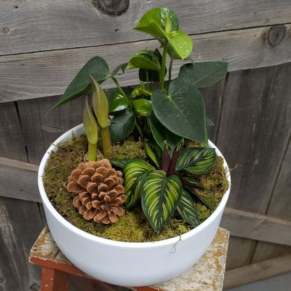 Holiday Planters