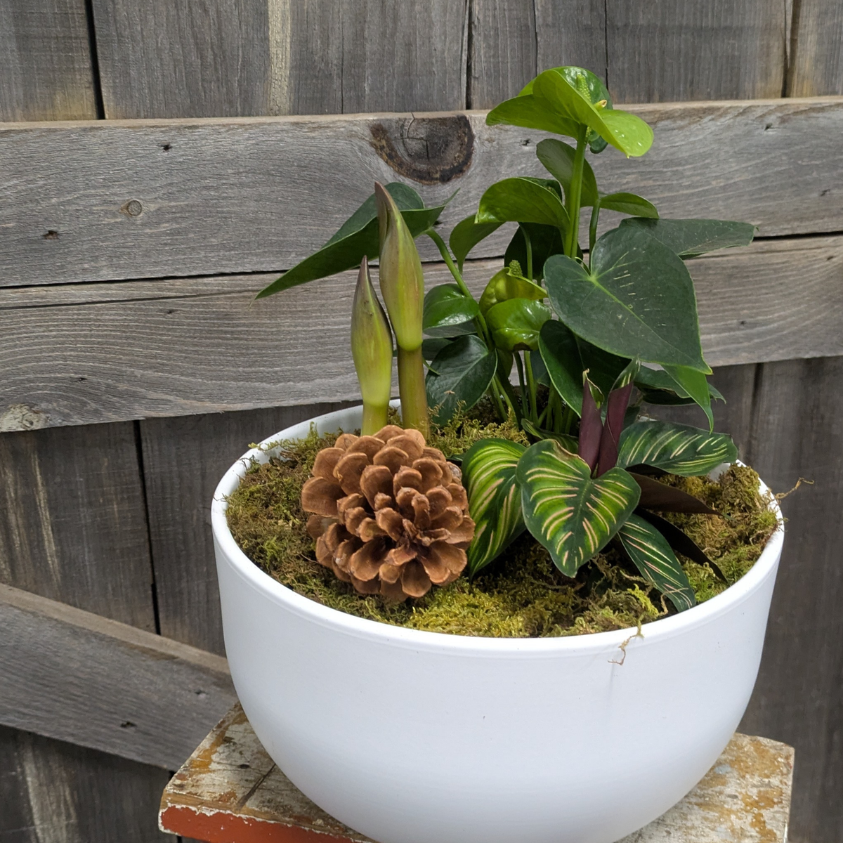 Holiday Planters