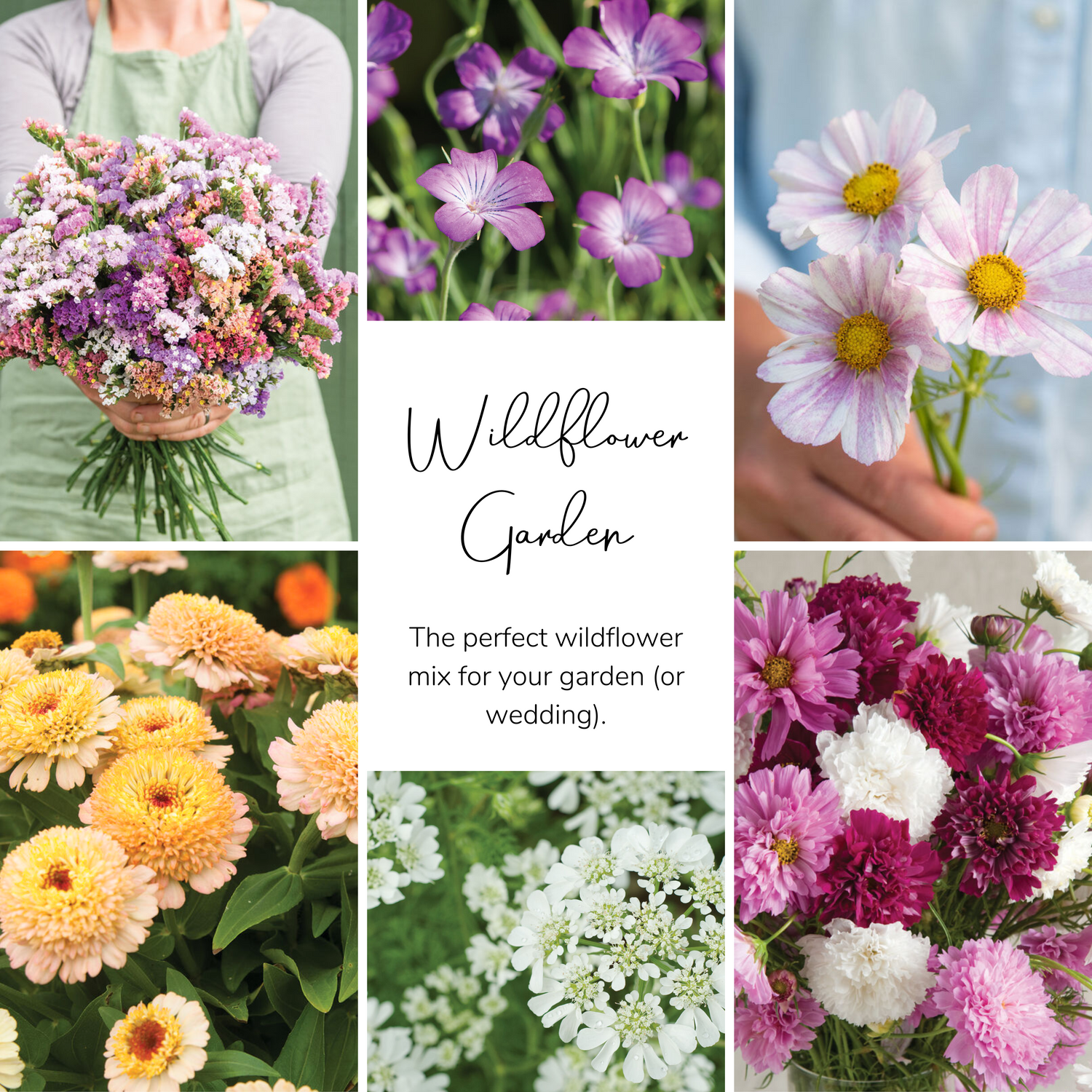 Wildflower Garden Seed Bundle