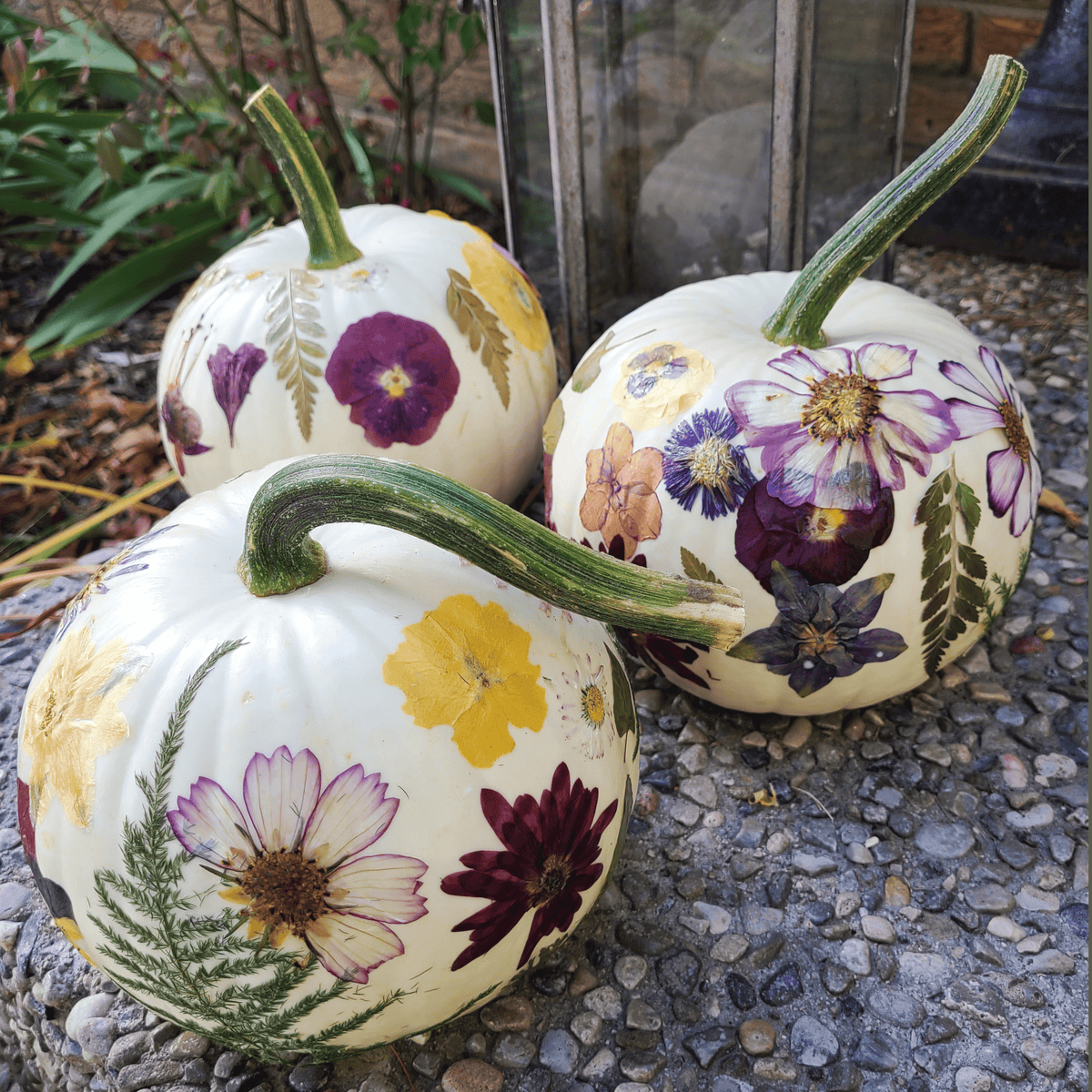 Pressed Flower Pumpkins Workshop (Sept 27)