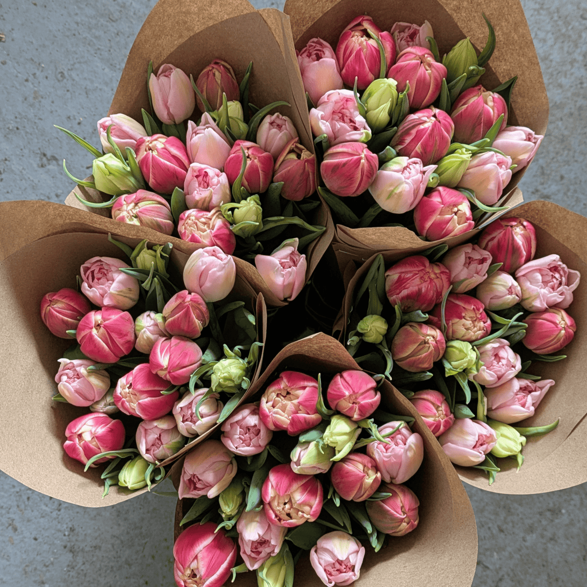 Bulk Tulips