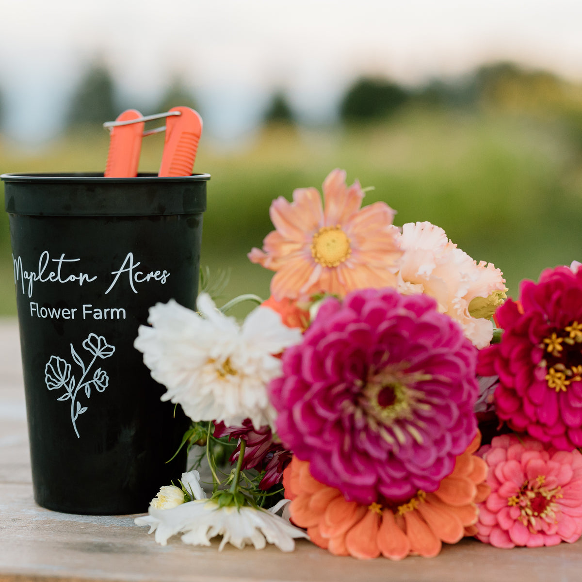 Cut-Your-Own-Flowers Experience