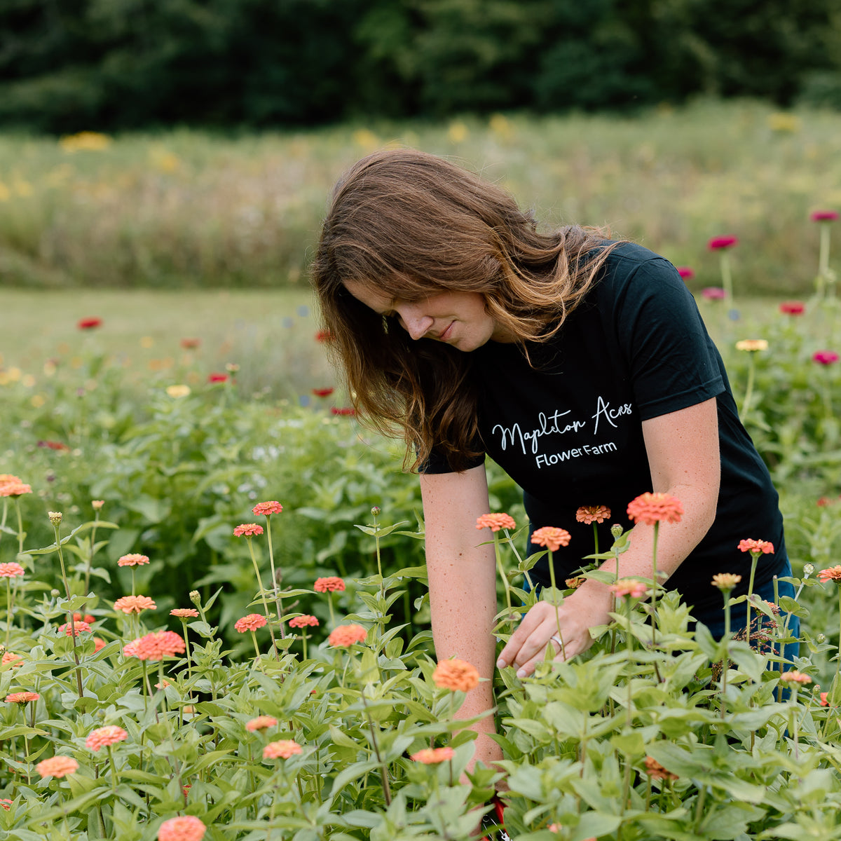 Cut-Your-Own-Flowers Experience