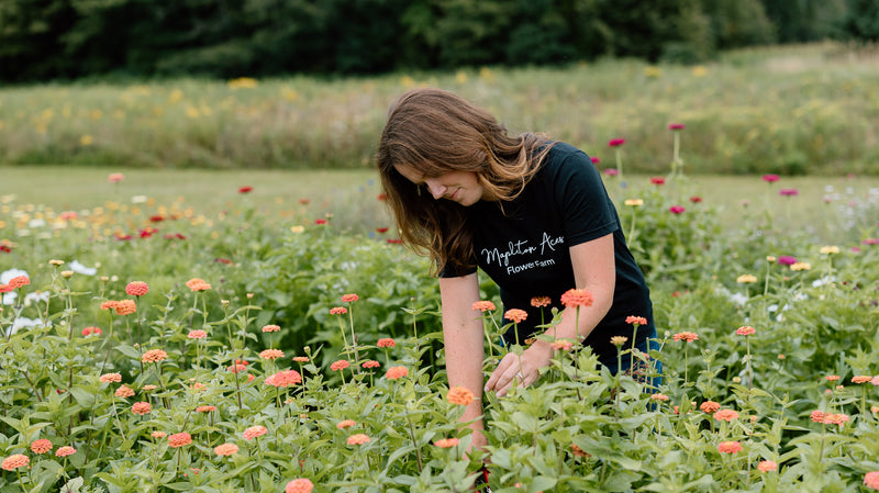 Cut-Your-Own-Flowers Experience