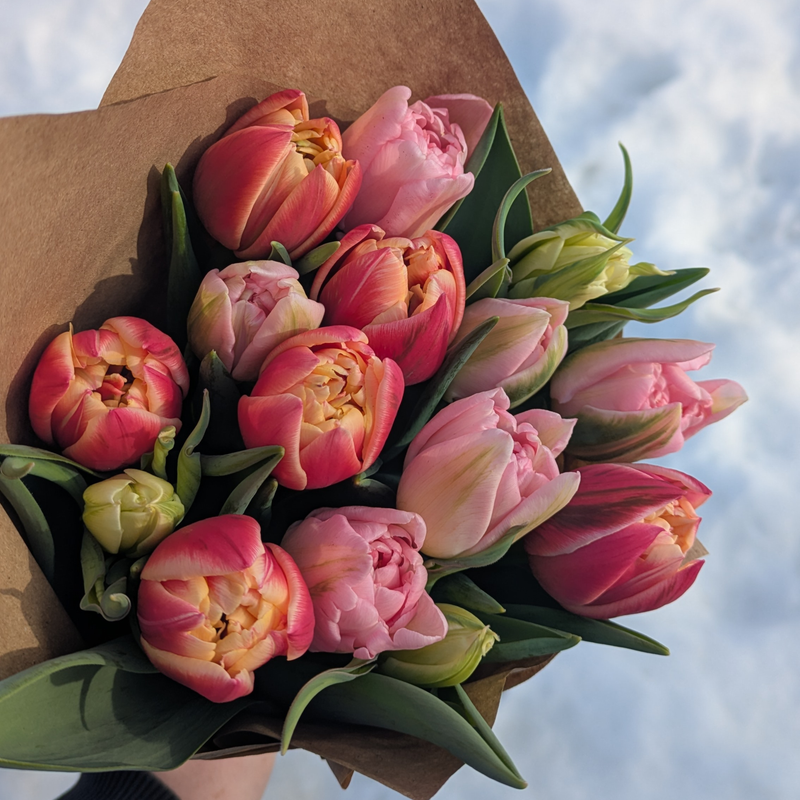 Monthly Tulip Subscription (Feb to Apr)