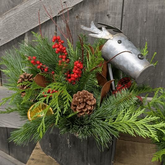 [Pre-Order] Holiday Cheer Pot/Centrepiece