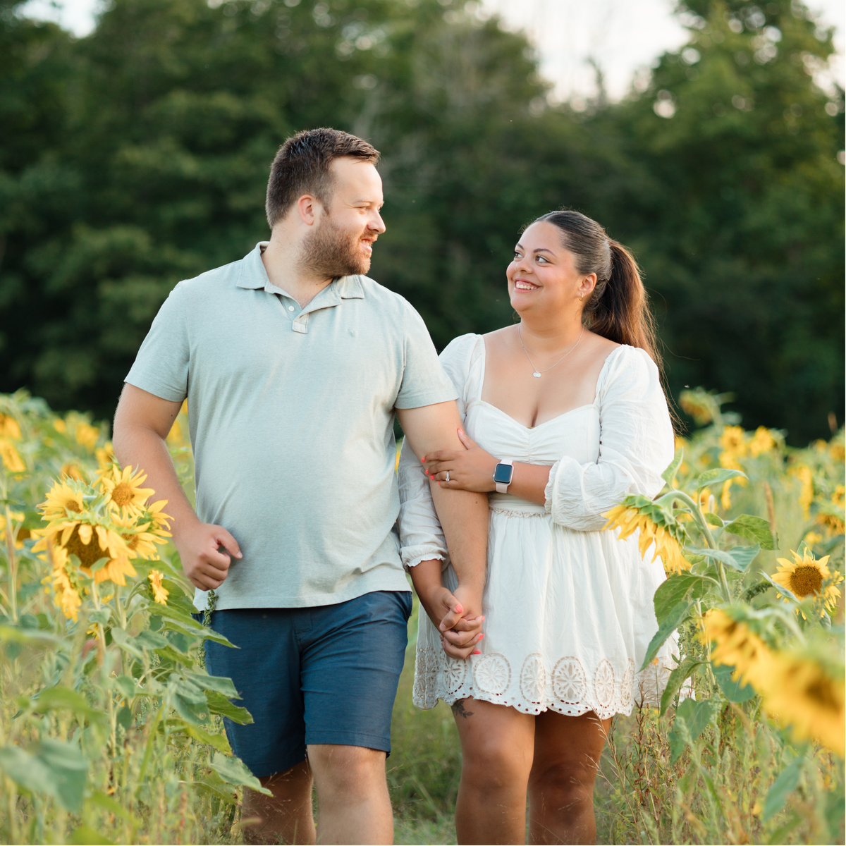 An Evening in the Flower Field