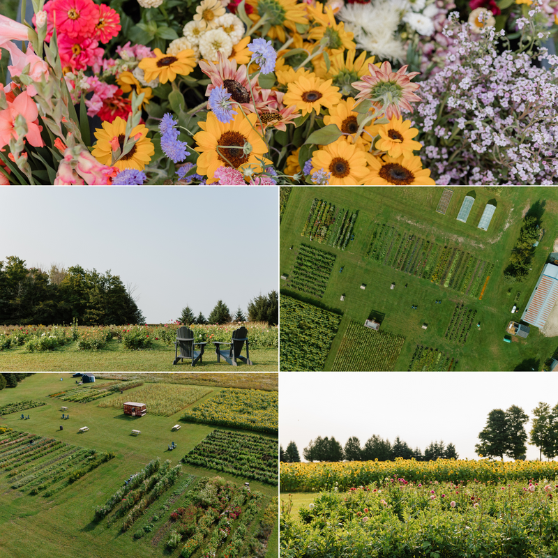 Open Photography Nights