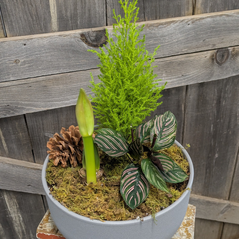 Holiday Planters