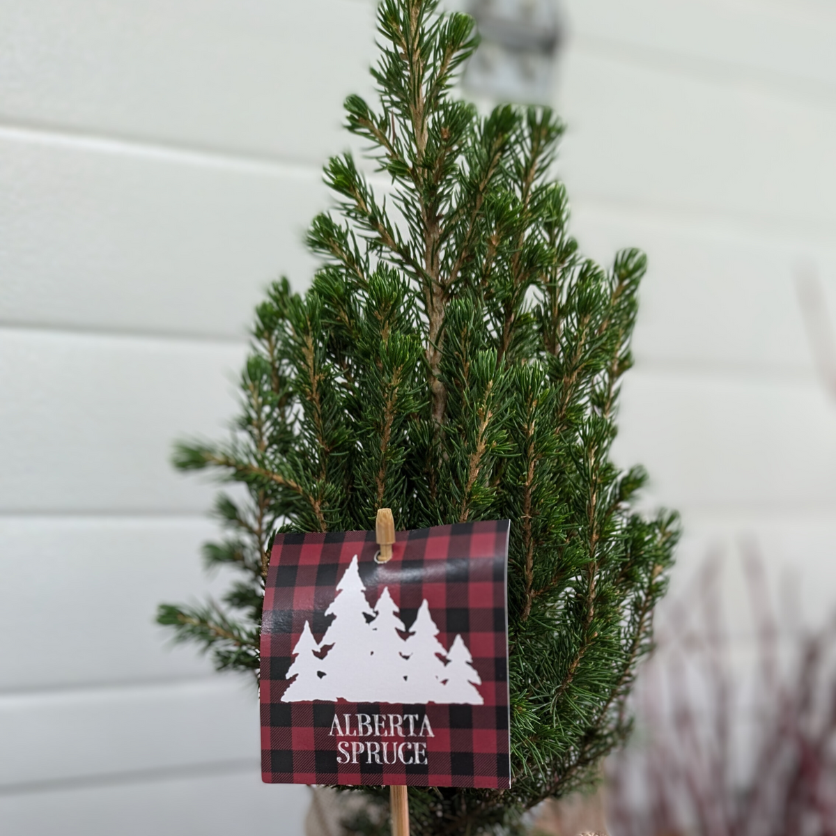 Mini Christmas Tree
