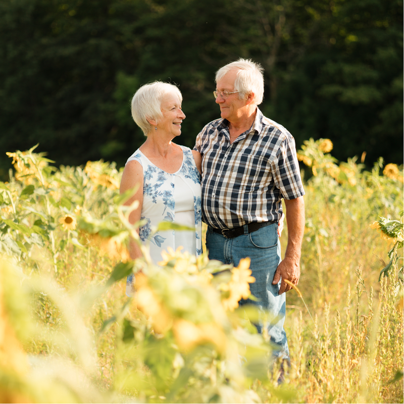 An Evening in the Flower Field