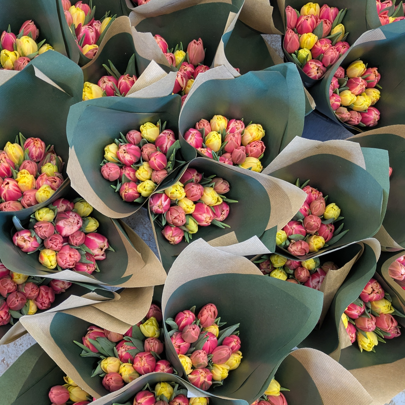 Easter Tulip Bouquet