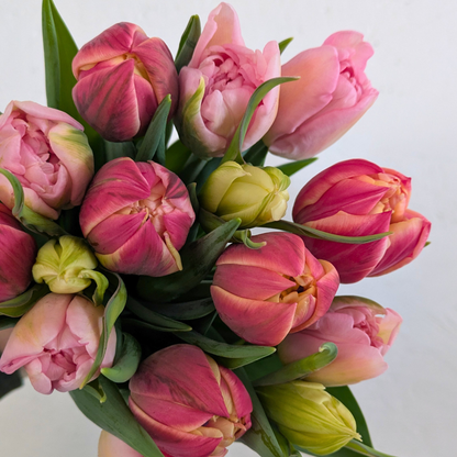 Valentine's Farm-Grown Tulip Bunch