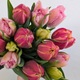Valentine's Farm-Grown Tulip Bunch