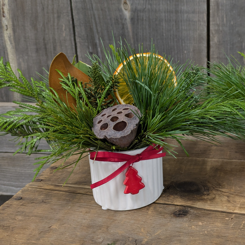 [Pre-Order] Holiday Cheer Pot/Centrepiece