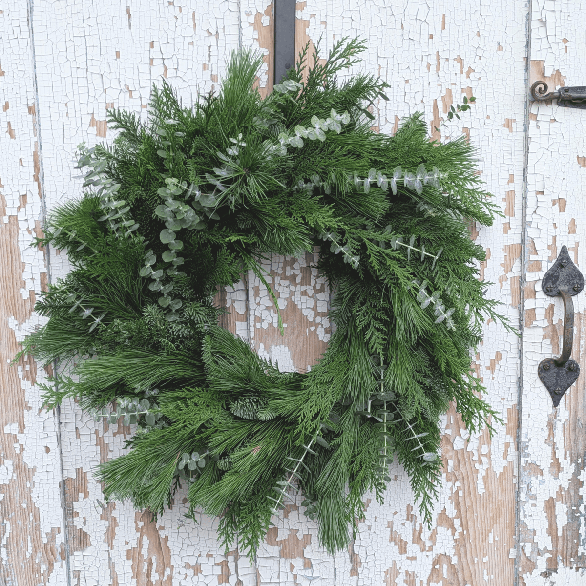 Fresh Evergreen + Eucalyptus Wreath (Pre-Made)
