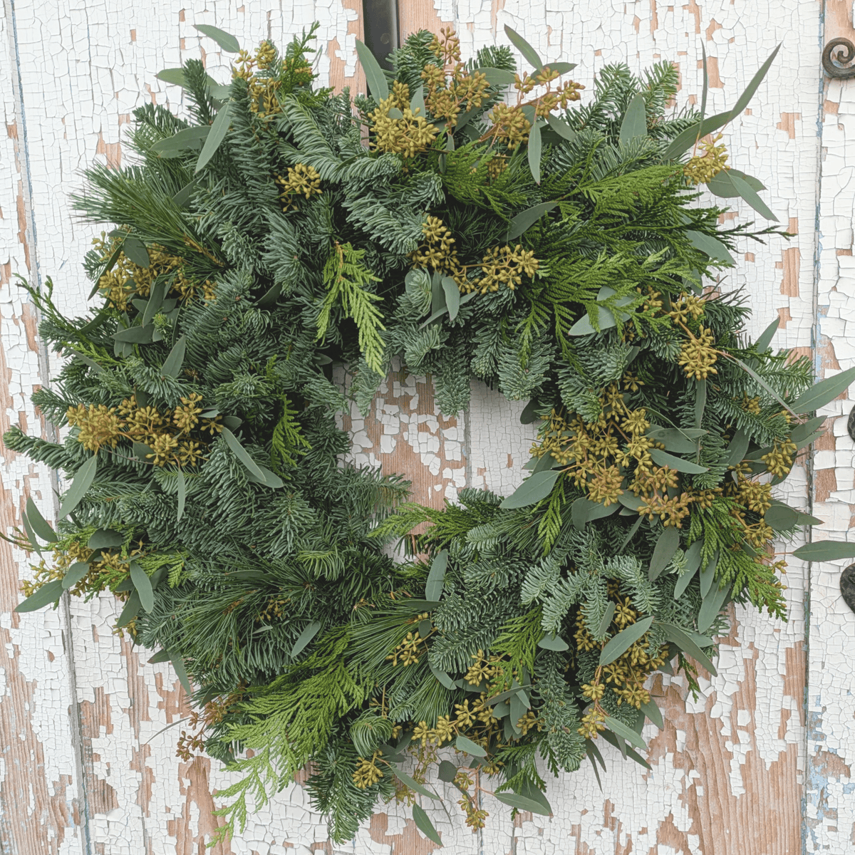 Build Your Own Evergreen + Eucalyptus Wreath Workshop (Dec 9 or 10)