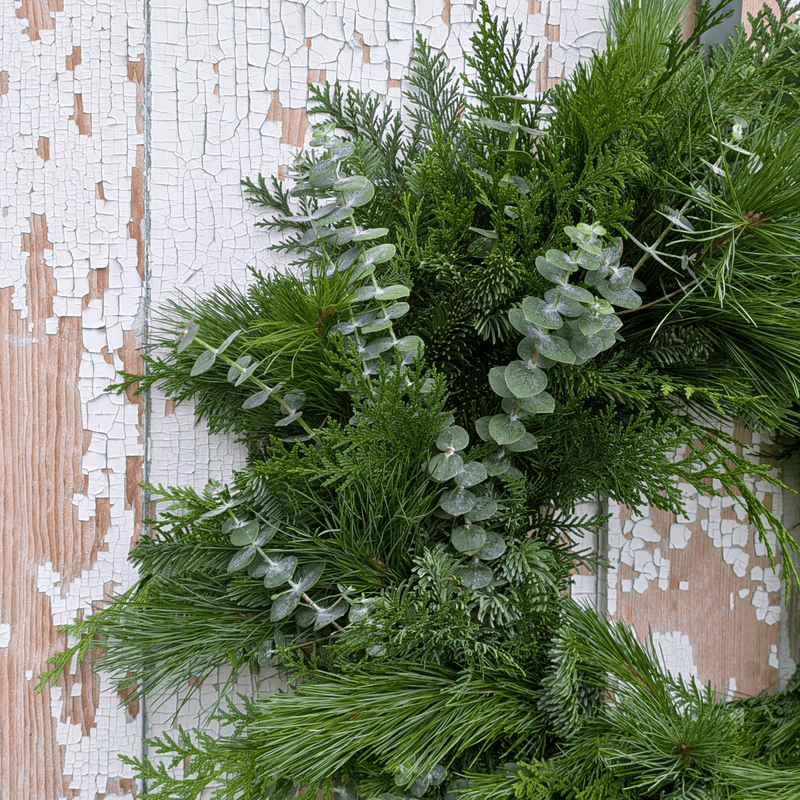 Fresh Evergreen + Eucalyptus Wreath (Pre-Made)