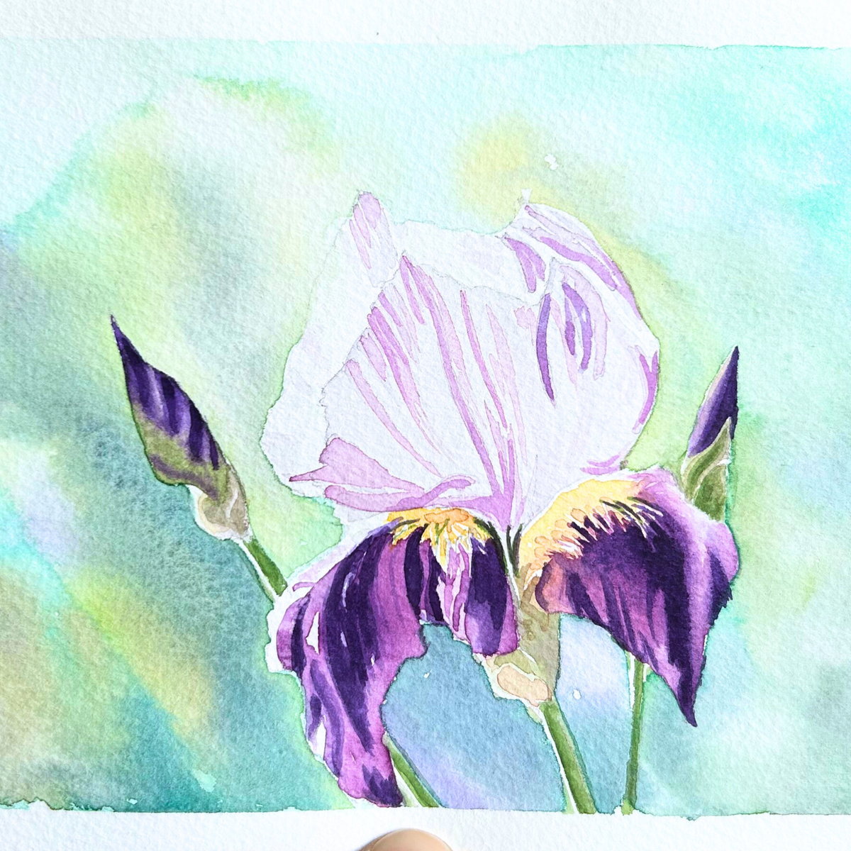 Watercolours in the Flower Field (Aug 19)